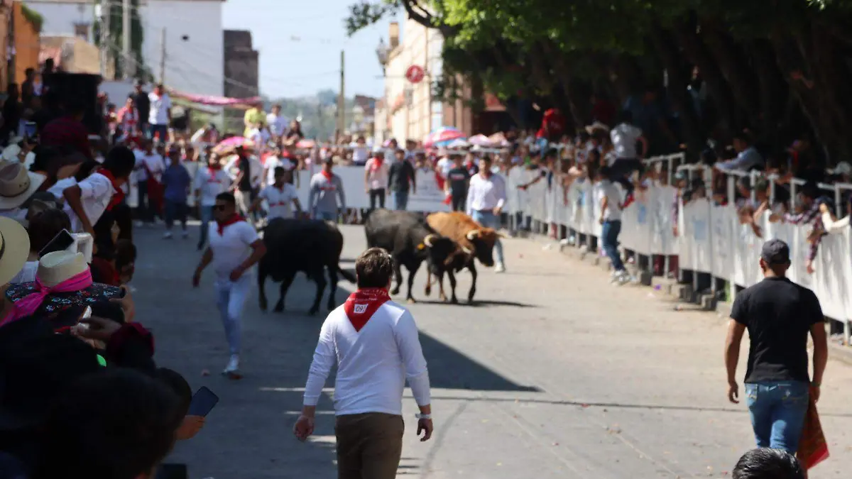 Marquesada (11)